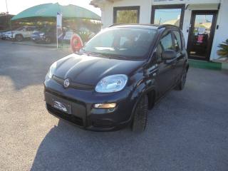 FIAT Panda usata, con Antifurto