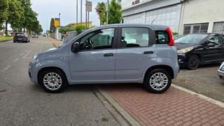 FIAT Panda usata, con Airbag laterali