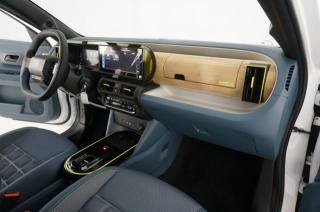 FIAT Grande Panda usata, con Chiusura centralizzata telecomandata