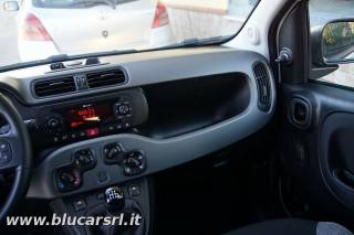 FIAT Panda usata, con ESP