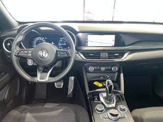 ALFA ROMEO Stelvio usata, con Controllo trazione