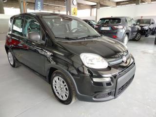 FIAT Panda usata, con Chiusura centralizzata
