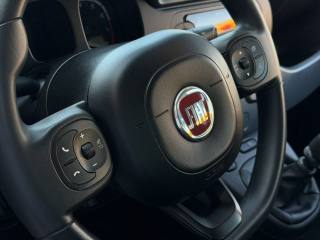 FIAT Panda usata 15