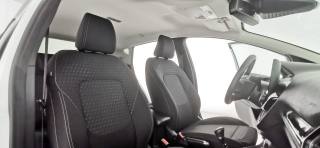 FORD Fiesta usata 56