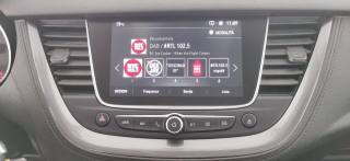 OPEL Grandland X usata 58