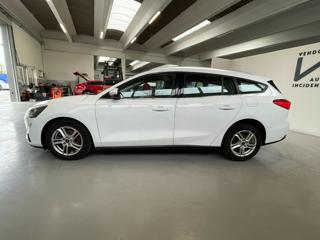 FORD Focus usata, con Airbag Passeggero