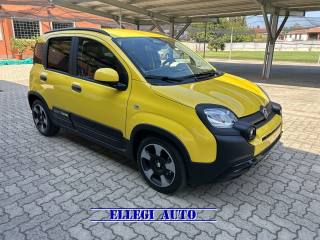 FIAT Panda Cross usata, con Antifurto