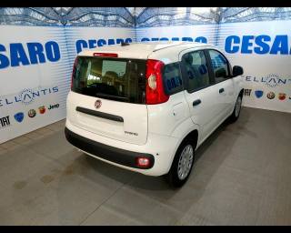 FIAT New Panda usata, con Airbag Passeggero
