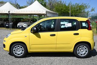 FIAT Panda usata, con Climatizzatore