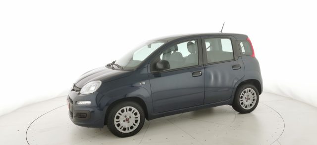 FIAT Panda usata 28