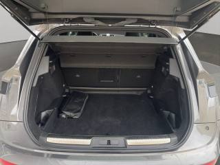 DS AUTOMOBILES DS 7 usata 23