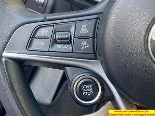 ALFA ROMEO Stelvio usata 60
