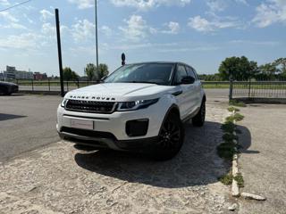 LAND ROVER Range Rover Evoque 2.0 TD4 150 CV 5p. Business Edition Pure