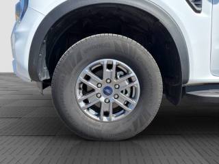 FORD Ranger usata 14