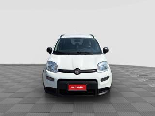 FIAT Panda usata 7