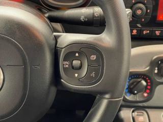 FIAT Panda usata 20