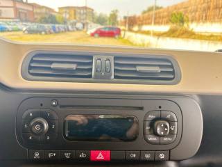 FIAT Panda usata, con Fendinebbia