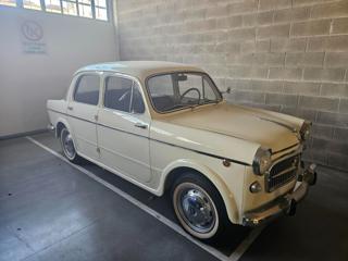 FIAT 1100 usata 2