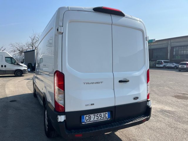 FORD Transit usata, con Fendinebbia