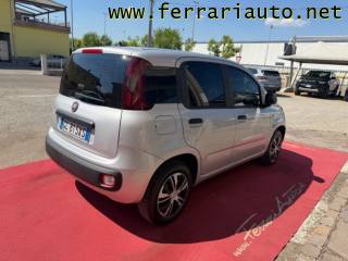 FIAT Panda usata, con Airbag Passeggero