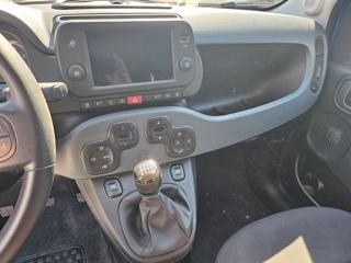 FIAT Panda usata, con Immobilizzatore elettronico