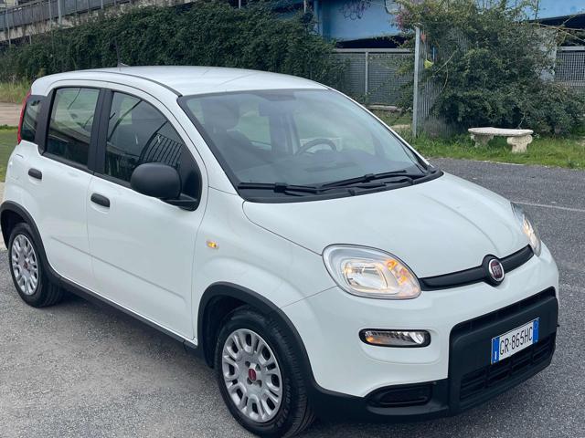 FIAT Panda usata, con Climatizzatore