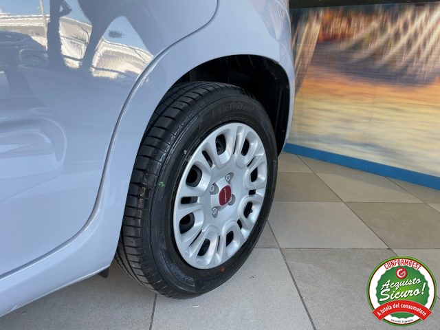 FIAT Panda usata 14