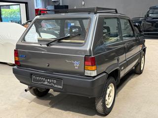 FIAT Panda usata 3