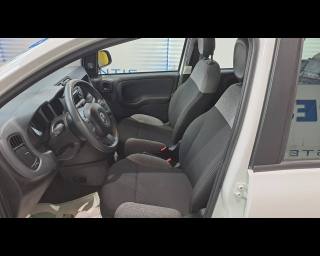 FIAT New Panda usata 20