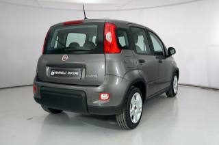 FIAT Panda usata, con Airbag Passeggero