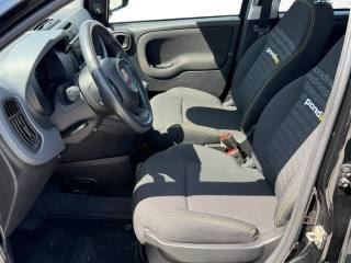 FIAT Panda usata, con Servosterzo