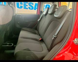 FIAT New Panda usata 13