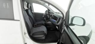 FIAT Panda usata 35