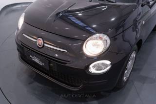FIAT 500 usata 24