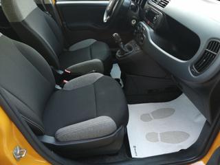 FIAT Panda usata, con Servosterzo