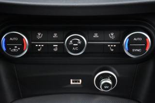 ALFA ROMEO Stelvio usata, con Sedili sportivi