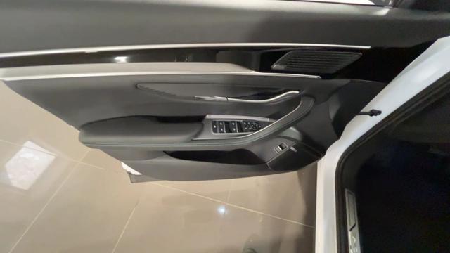 BYD Seal usata, con Portellone posteriore elettrico