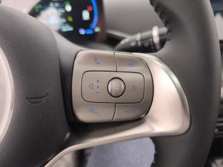 BYD Dolphin Surf usata, con Servosterzo