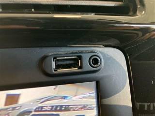 DACIA Spring usata 25