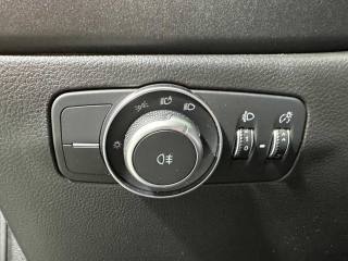 ALFA ROMEO Tonale usata 29