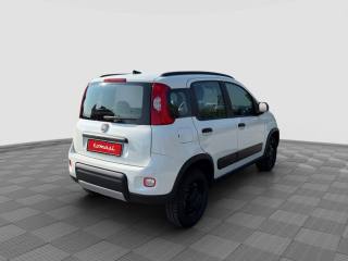 FIAT Panda usata 4