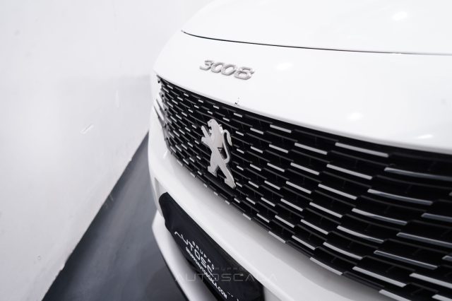 PEUGEOT 3008 usata 25