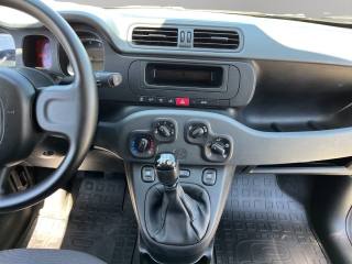 FIAT Panda usata 11