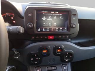 FIAT Panda Cross usata 24