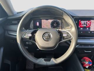 SKODA Octavia usata 12