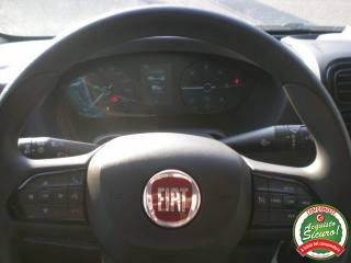 FIAT Ducato usata, con Sensori di parcheggio posteriori