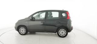 FIAT Panda usata 21