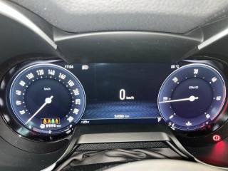 ALFA ROMEO Stelvio usata, con Cronologia tagliandi