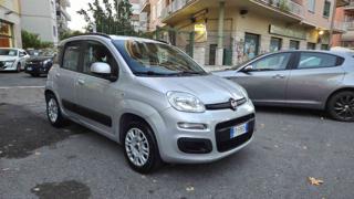 FIAT Panda usata, con Airbag Passeggero