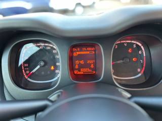 FIAT Panda usata, con Volante multifunzione